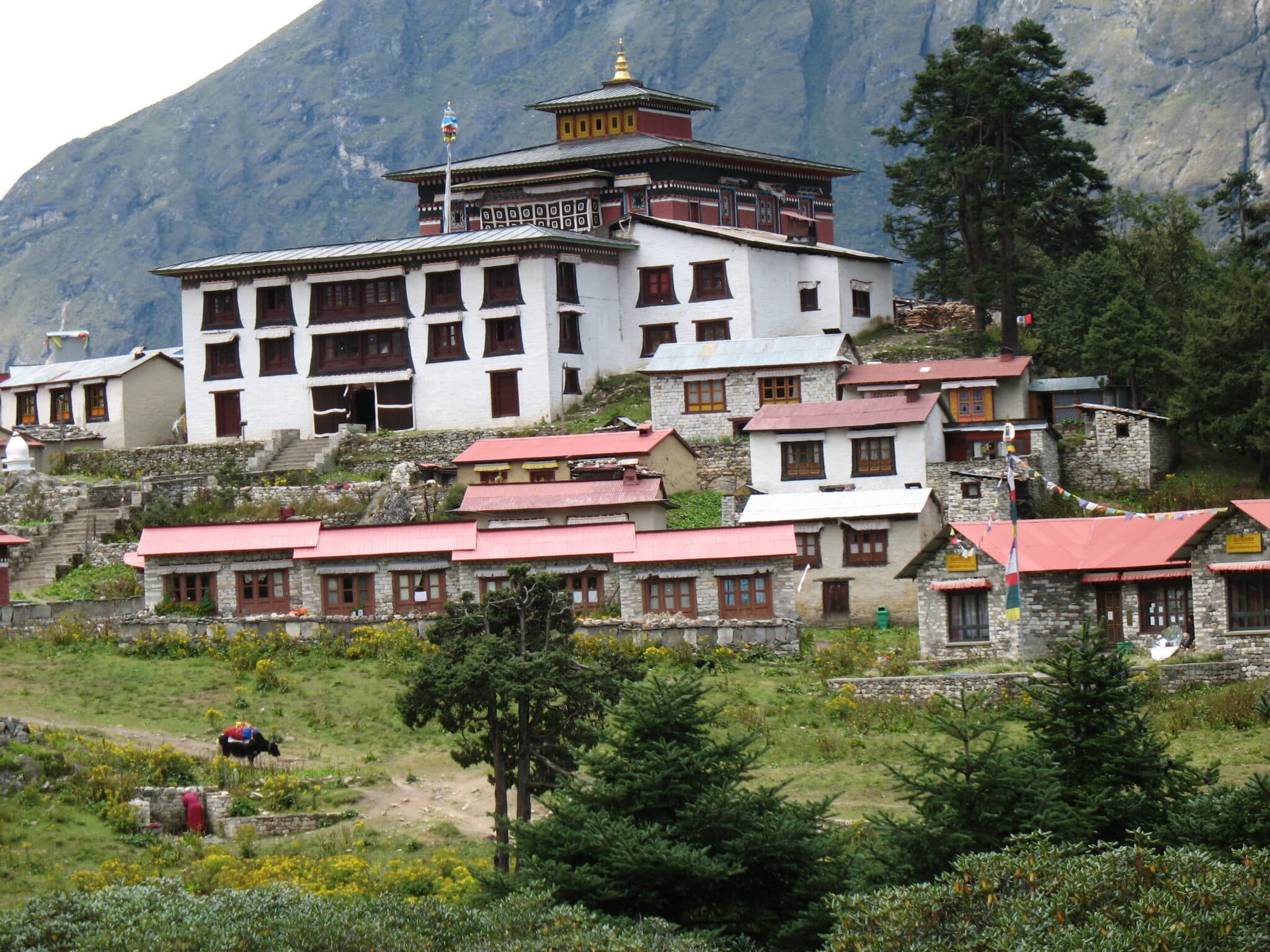 Sherpa community gathering in California